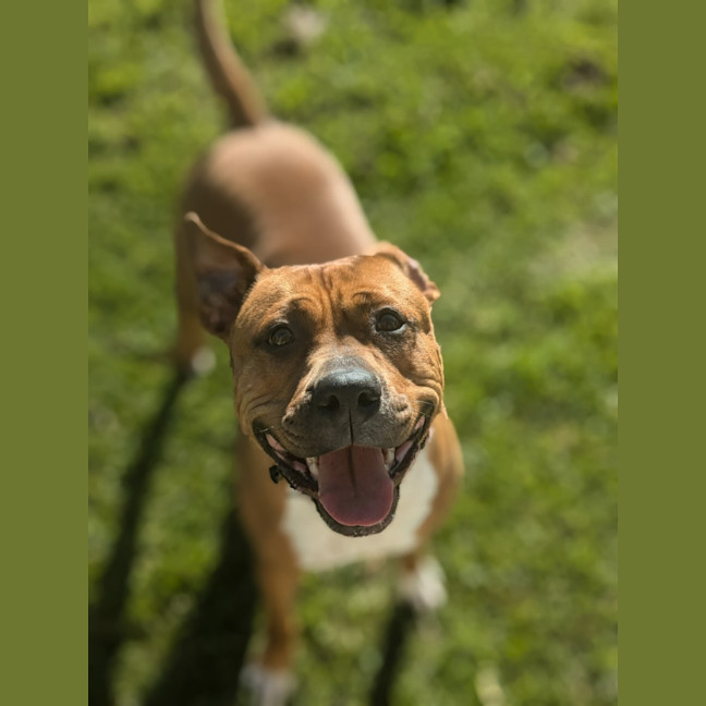 Photo of 🍄 Marley 5313 🍄