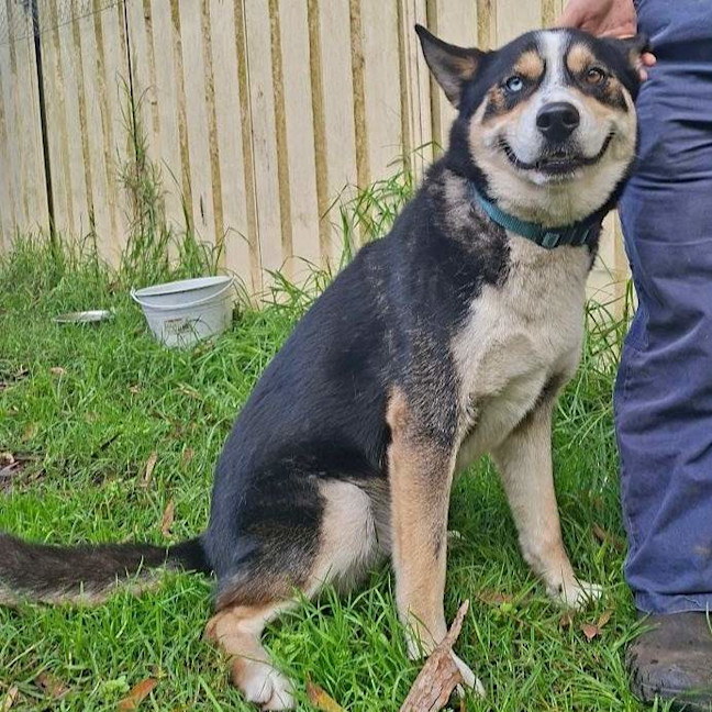 Photo of Rocket