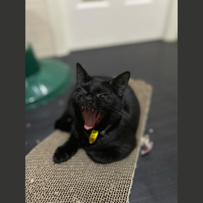 Photo of Monty