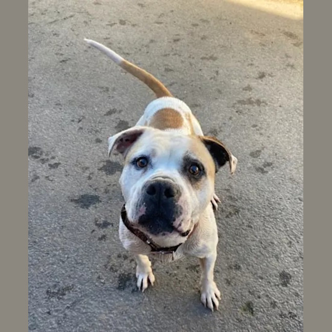 Photo of Buddy Xenos