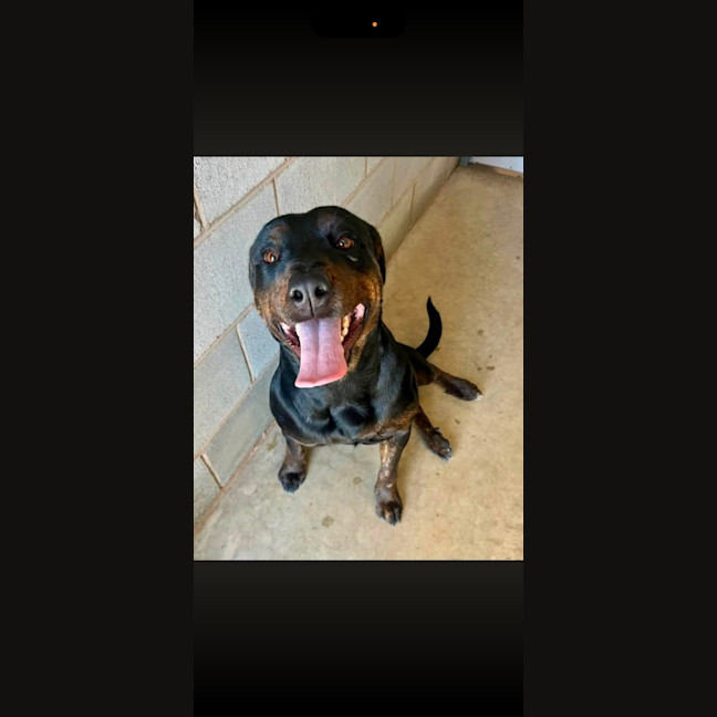 Photo of Lucy