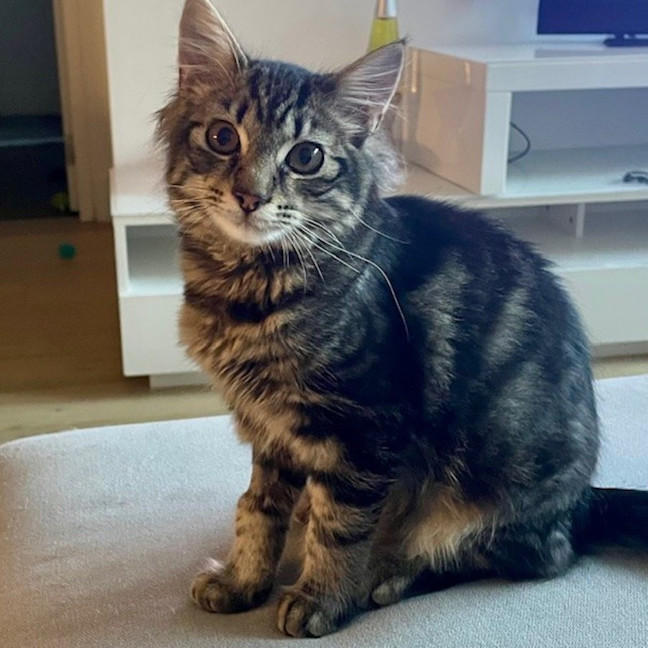 Photo of Sake And Soju