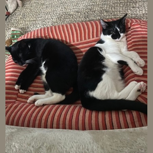 Photo of Alice & Anika
