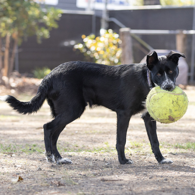Photo of Murphy