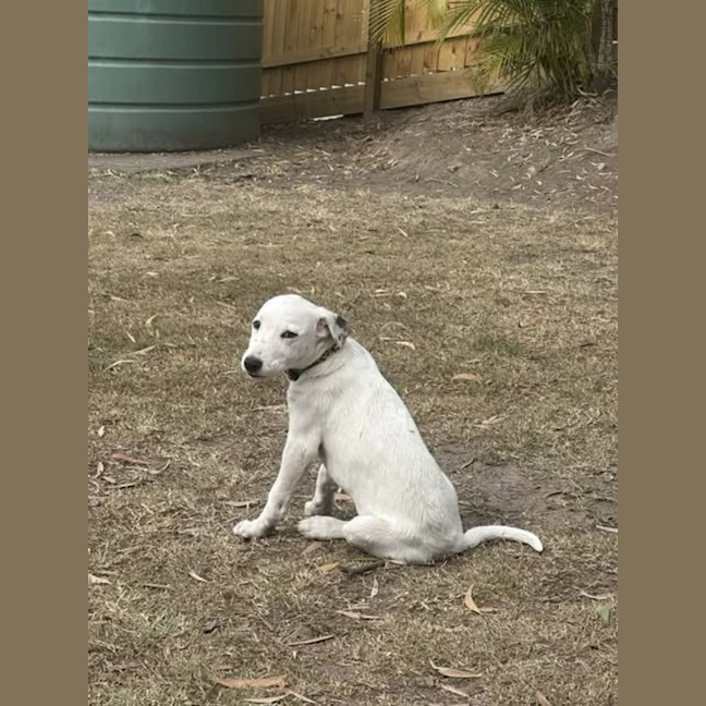 Photo of Casper