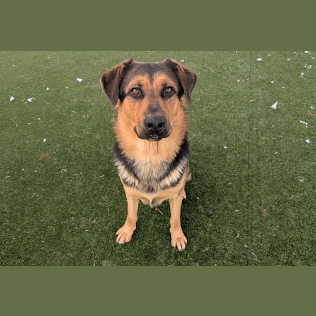 Photo of Bert Imp 318