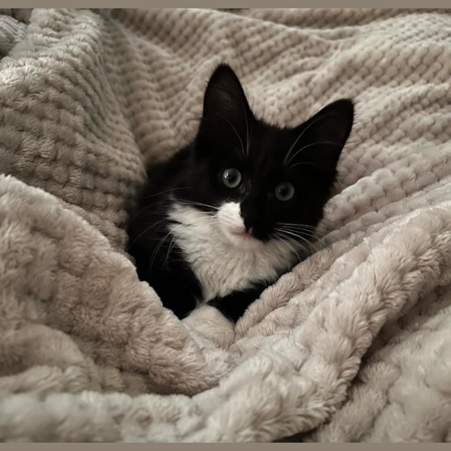 Photo of Vinnie 🧸