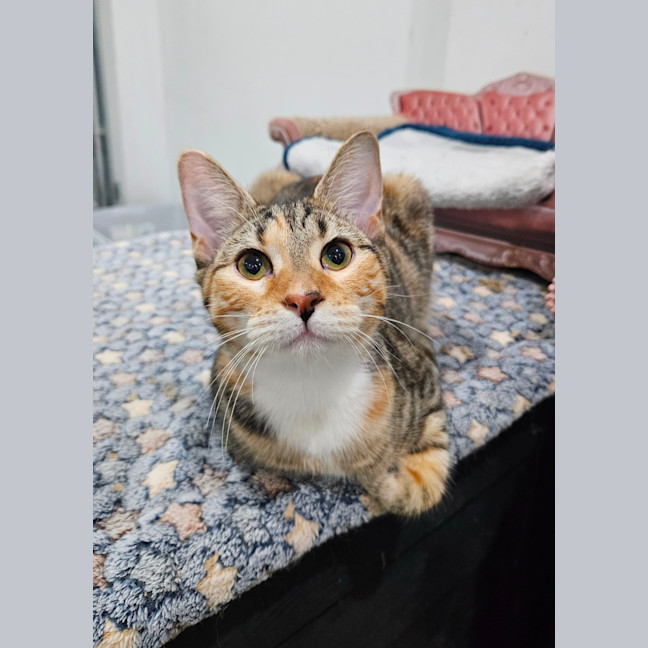 Photo of Pretty Girl