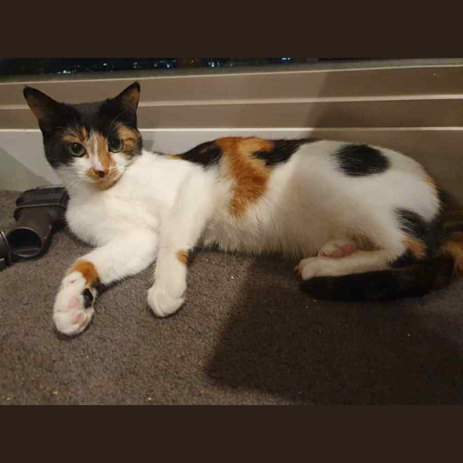 Photo of Marble