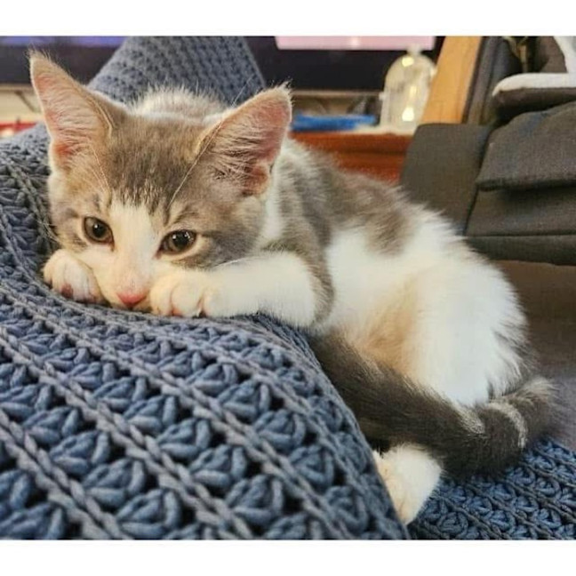 Photo of 12032   Ashley