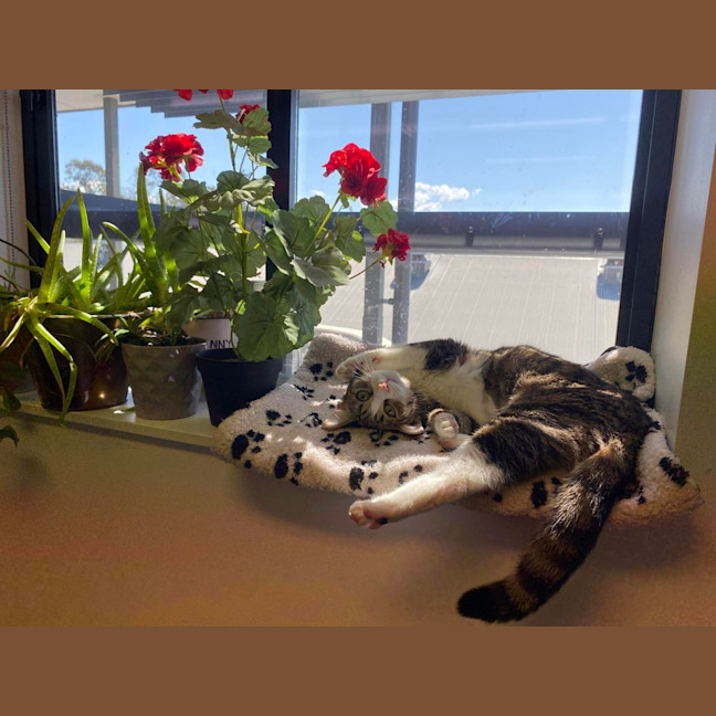 Photo of Mitzy