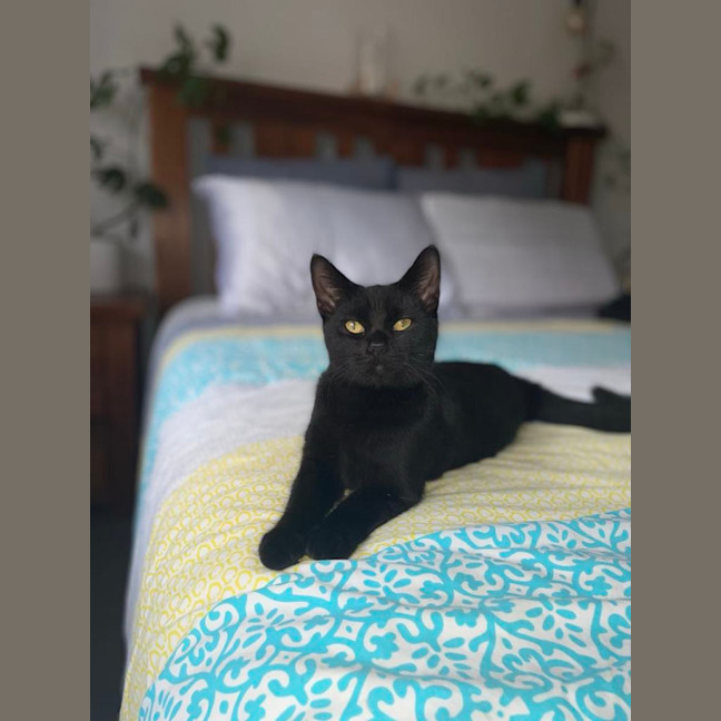 Photo of Delilah 🩷