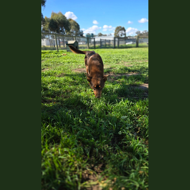 Photo of Max