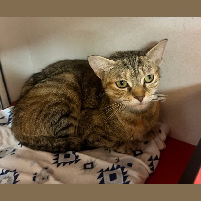 Photo of Storm