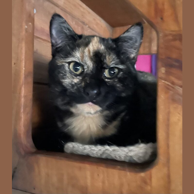 Photo of Smilie