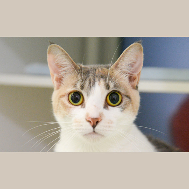 Photo of Milky