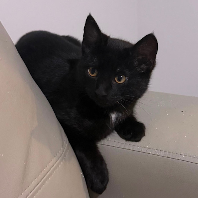 Photo of Banksy 🎨