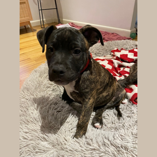 Photo of Aston Martin