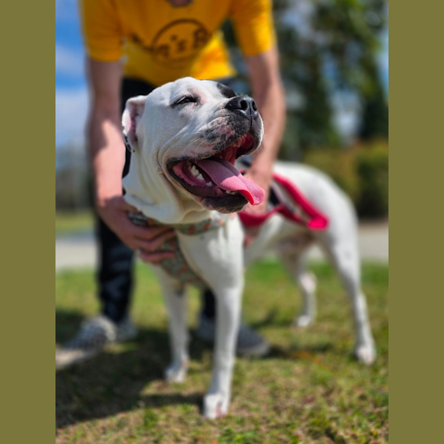 Photo of Dotti