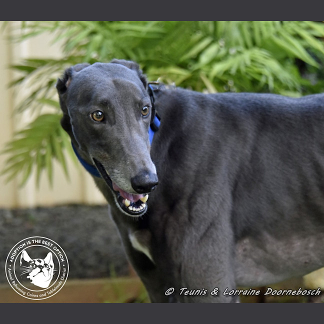 Photo of Froggy (Poppy Ed)