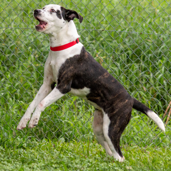 Photo of Nyla