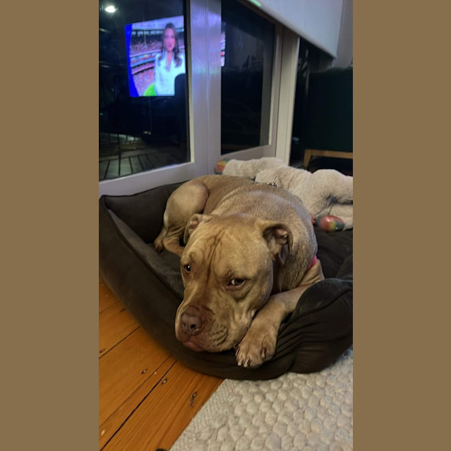 Photo of Sampson