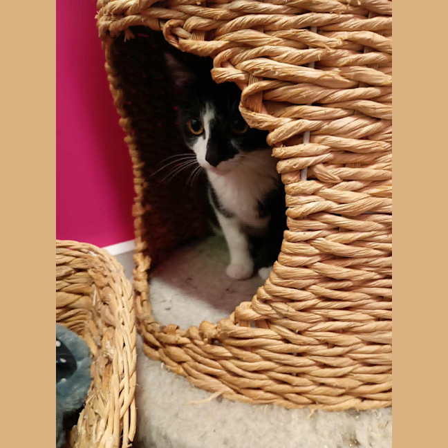 Photo of Mrs Pickles