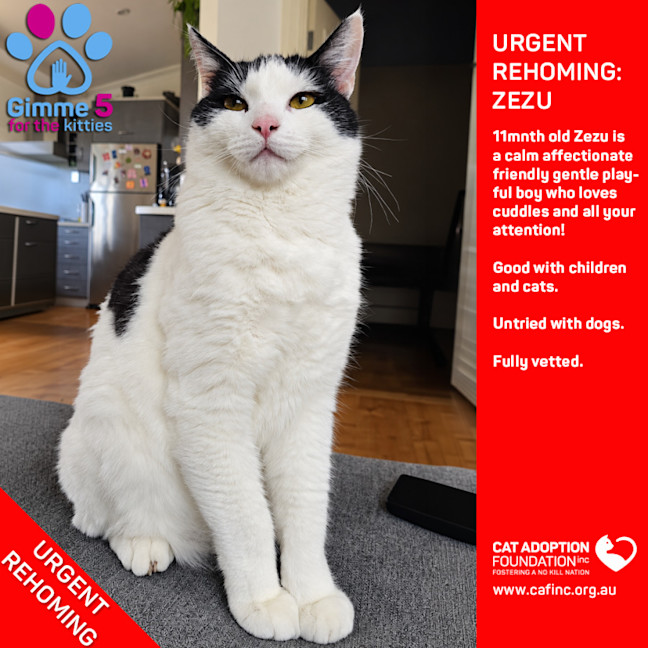 Photo of Zezu