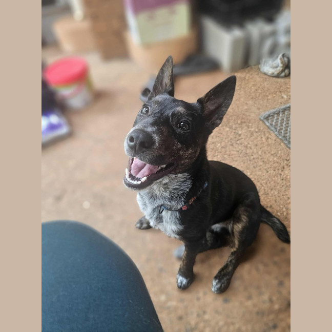 Photo of Matilda