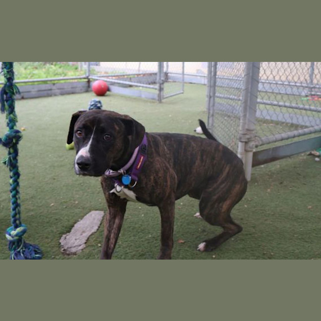 Photo of Lilah
