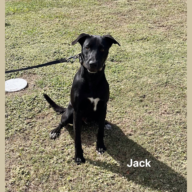 Photo of Jack
