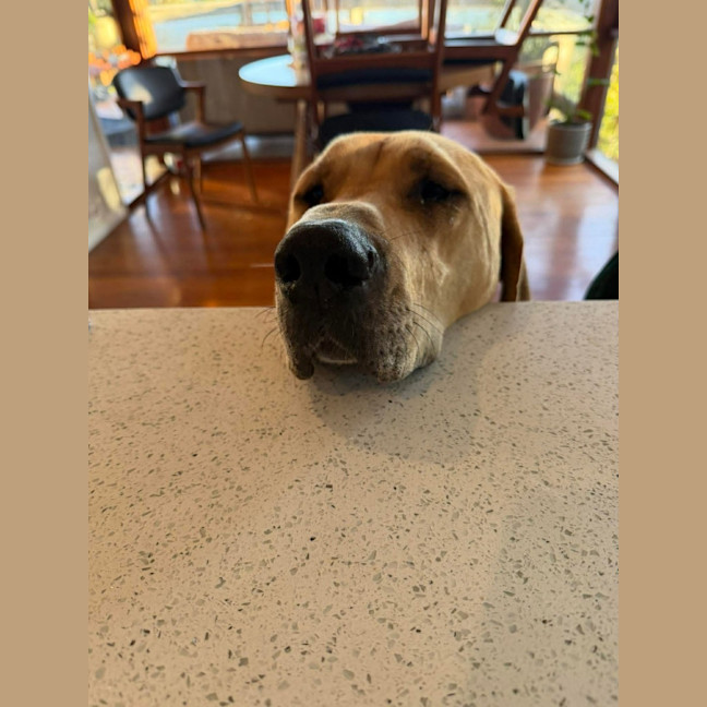 Photo of Turner