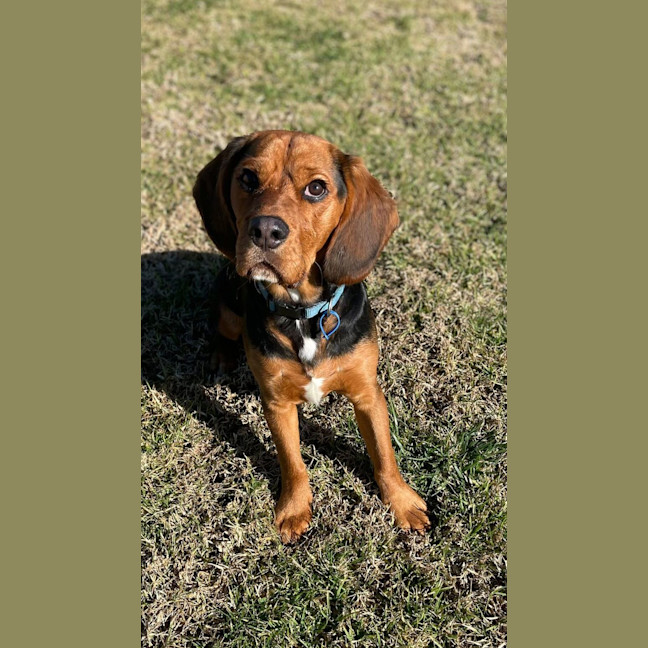 Photo of Ollie Grasby