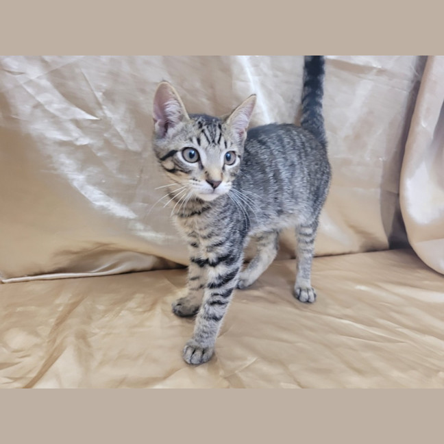 Photo of Breadcrumb 🍞🍞