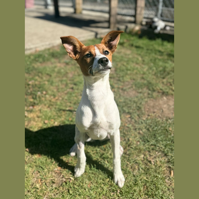 Photo of Jill