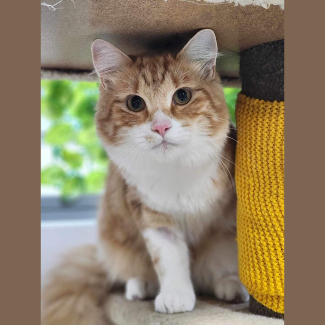 Photo of 🐠 Nemo 5314 🐠