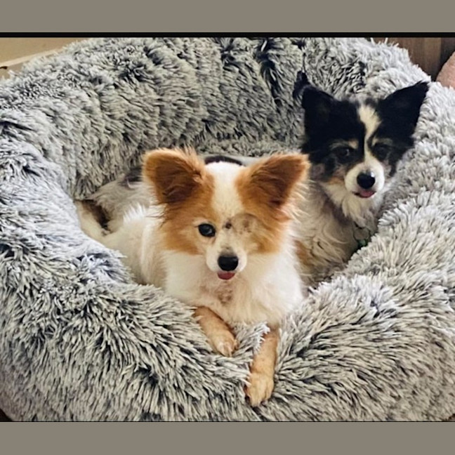 Photo of Zara & Zeke