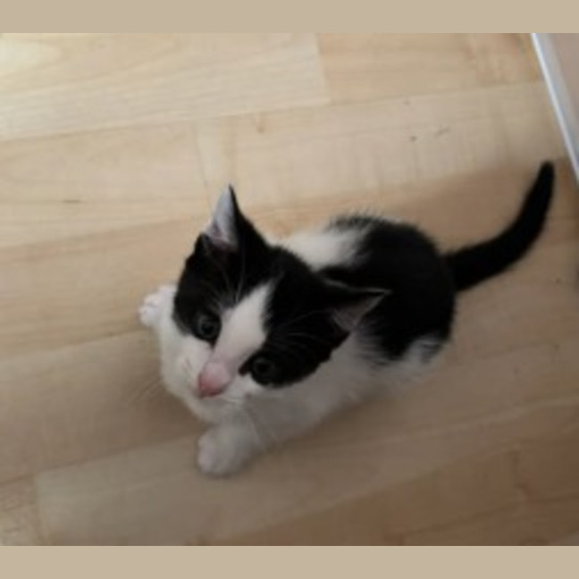 Photo of Maggie