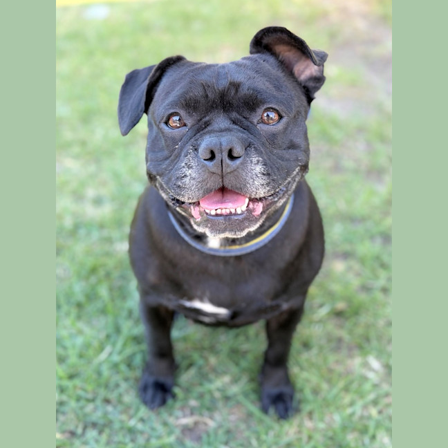 Photo of Lucy 