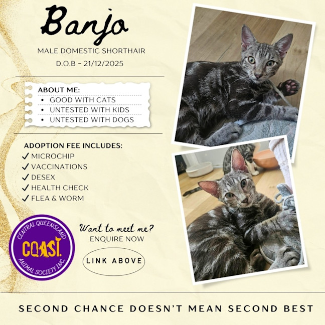 Photo of Banjo