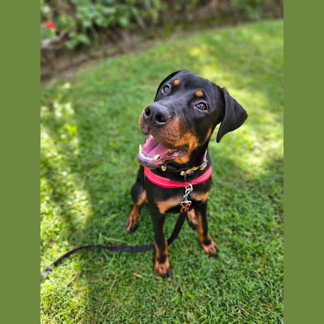 Photo of Murphy