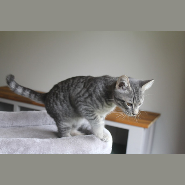 Photo of Mercury