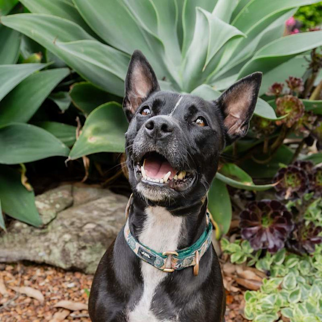 Photo of Missy
