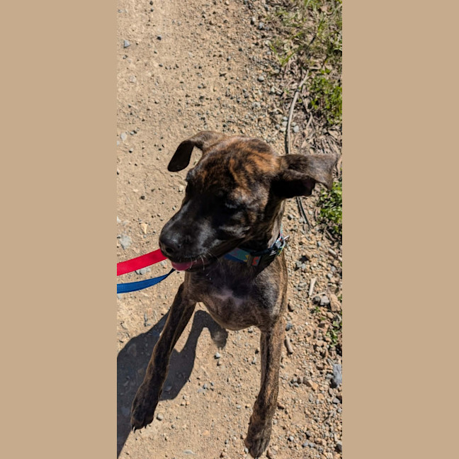 Photo of Hera