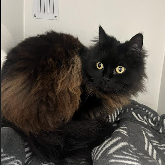 Photo of Precious 