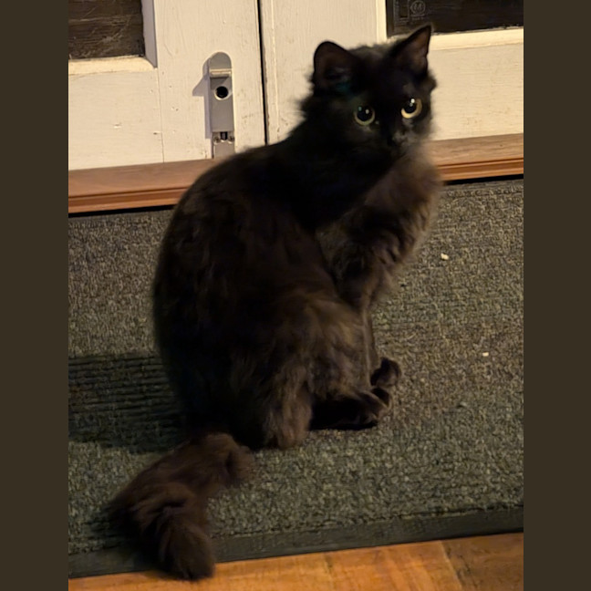 Photo of Thunder And Storm