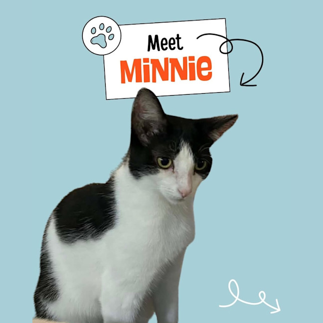 Photo of Minnie