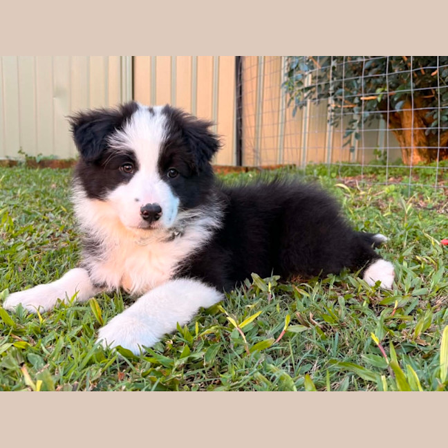Photo of Kylo