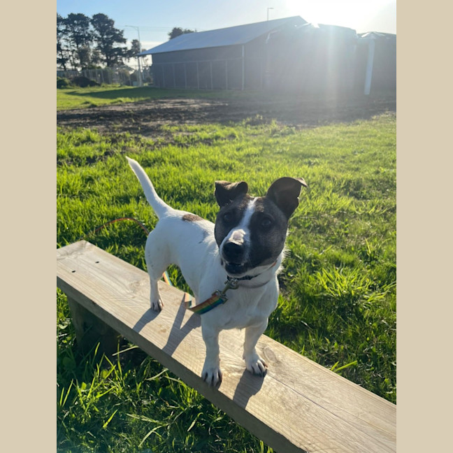 Photo of Jack
