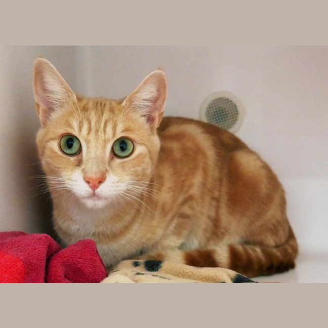 Photo of Leo Rsuk012651